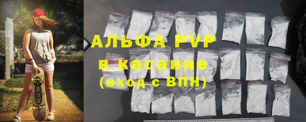 шишки Белоозёрский