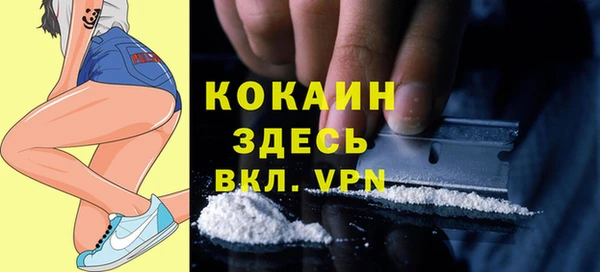 СК Белокуриха
