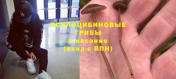 шишки Белоозёрский