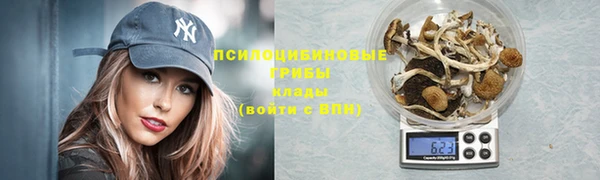шишки Белоозёрский