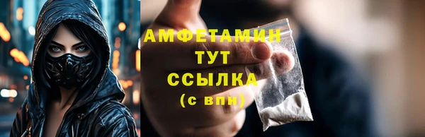 шишки Белоозёрский