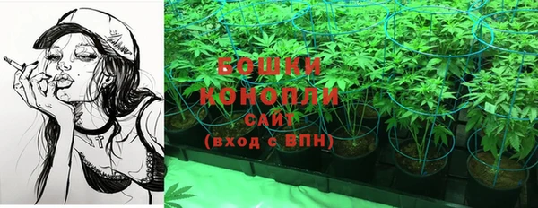 спайс Беломорск