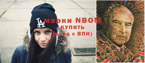 шишки Белоозёрский