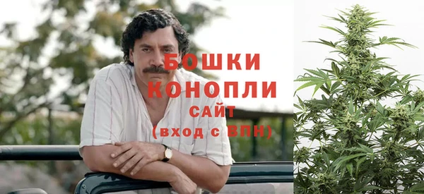 шишки Белоозёрский