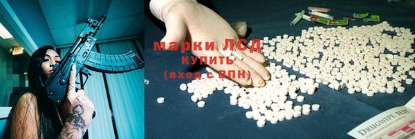 СК Белокуриха