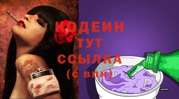 шишки Белоозёрский