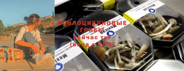 шишки Белоозёрский