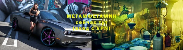 шишки Белоозёрский