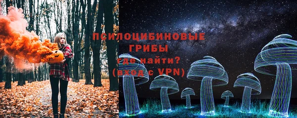 СК Белокуриха